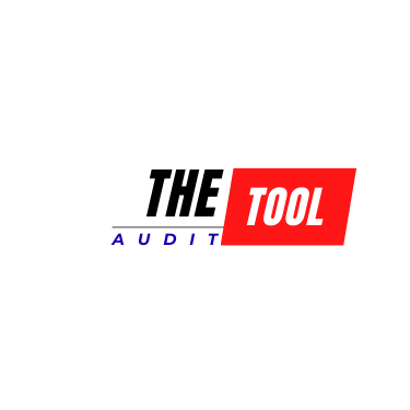 the tool audit logo 1